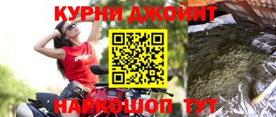 скорость Кингисепп