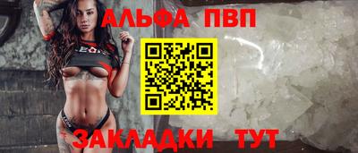 скорость Кингисепп