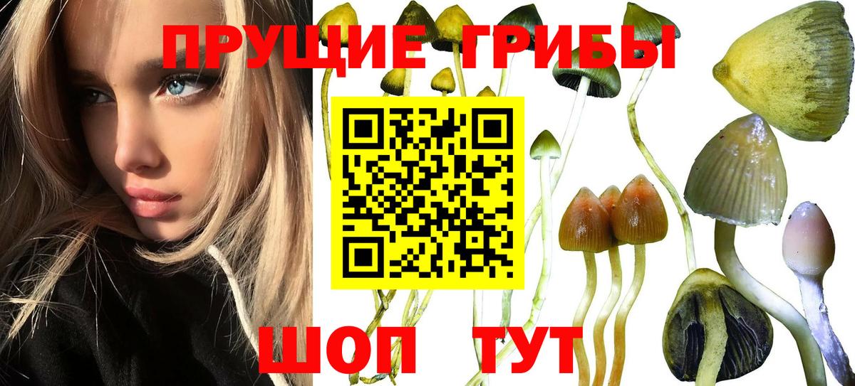 Кыштым  Псилоцибиновые грибы Magic Shrooms  Вход с VPN 